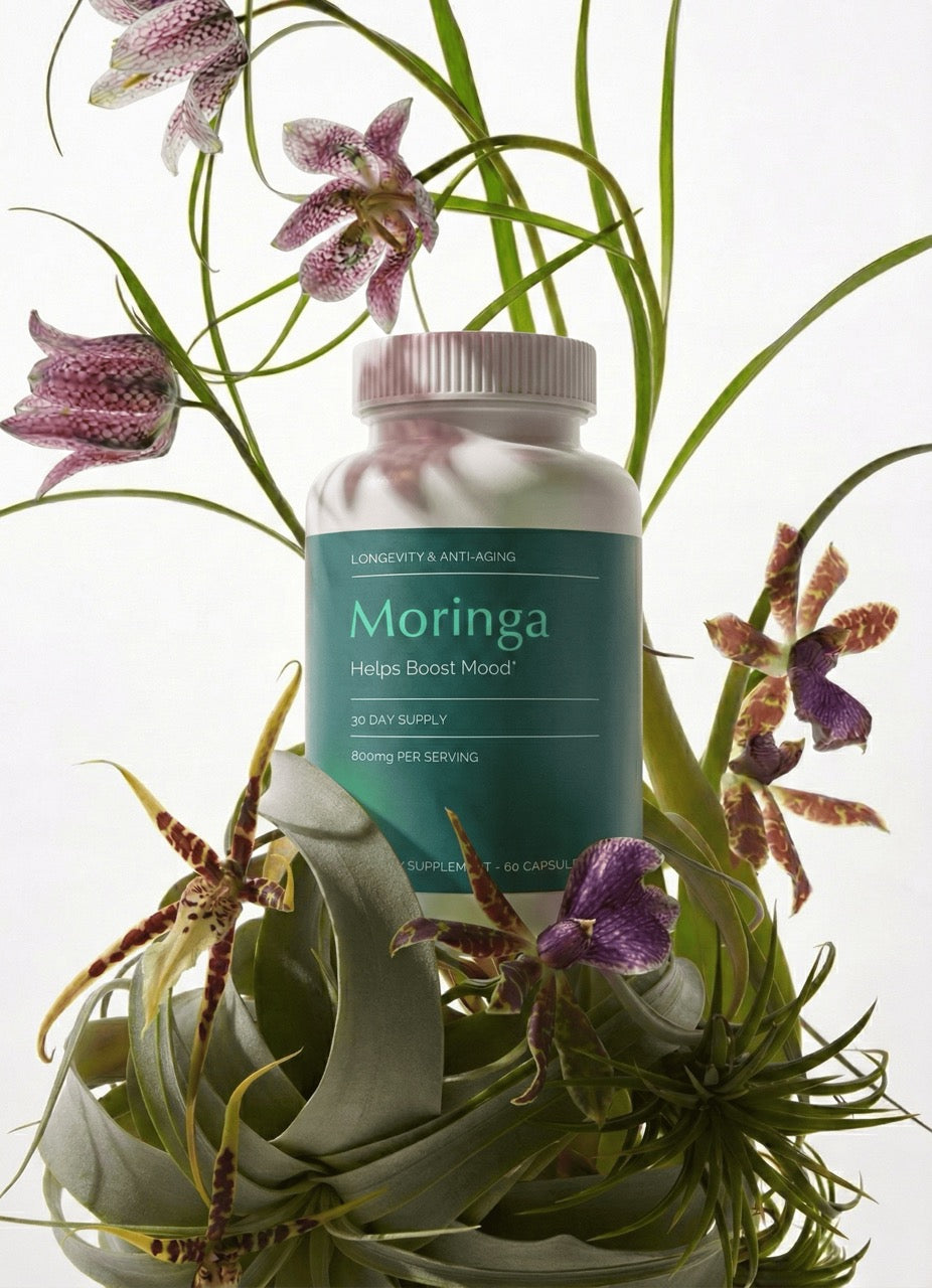 Moringa Oleifera